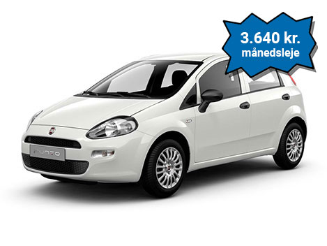 Kleiner Pkw (Fiat Punto oder ähnlich)